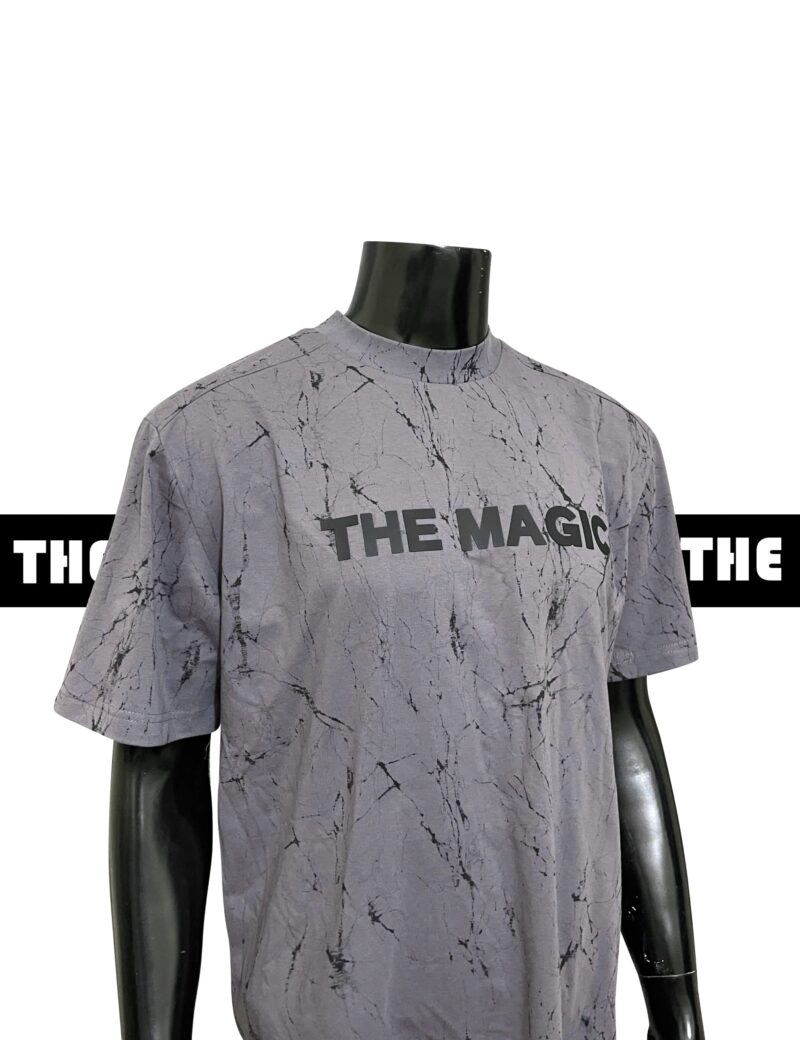 SPIDER-TSHIRT GRAY
