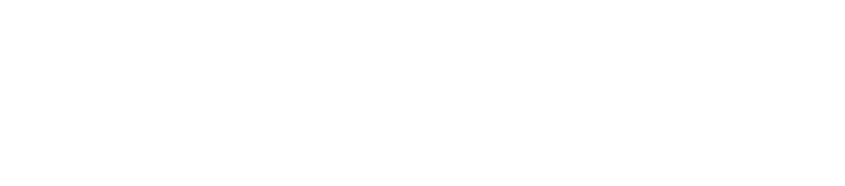 THE MAGIC